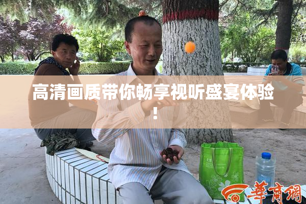 高清画质带你畅享视听盛宴体验！