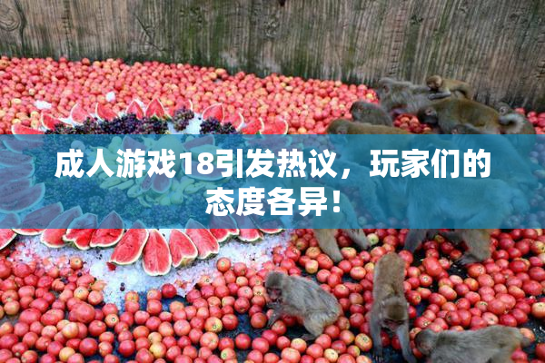 成人游戏18引发热议，玩家们的态度各异！