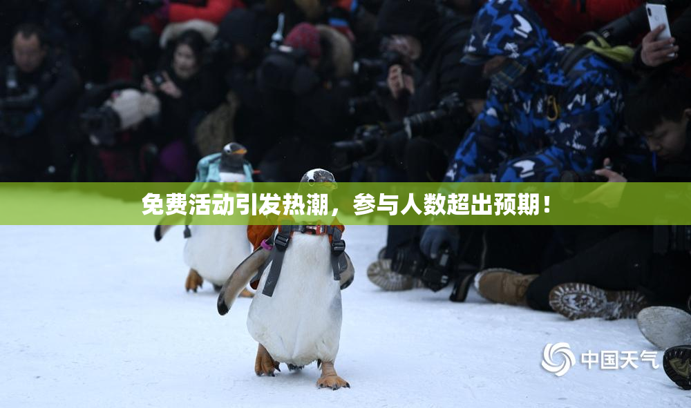 免费活动引发热潮，参与人数超出预期！