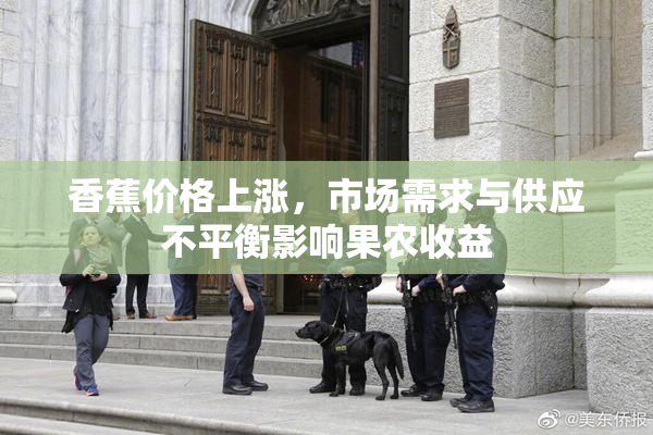 香蕉价格上涨，市场需求与供应不平衡影响果农收益