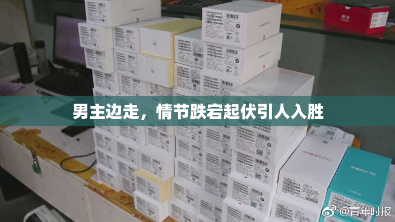 男主边走，情节跌宕起伏引人入胜