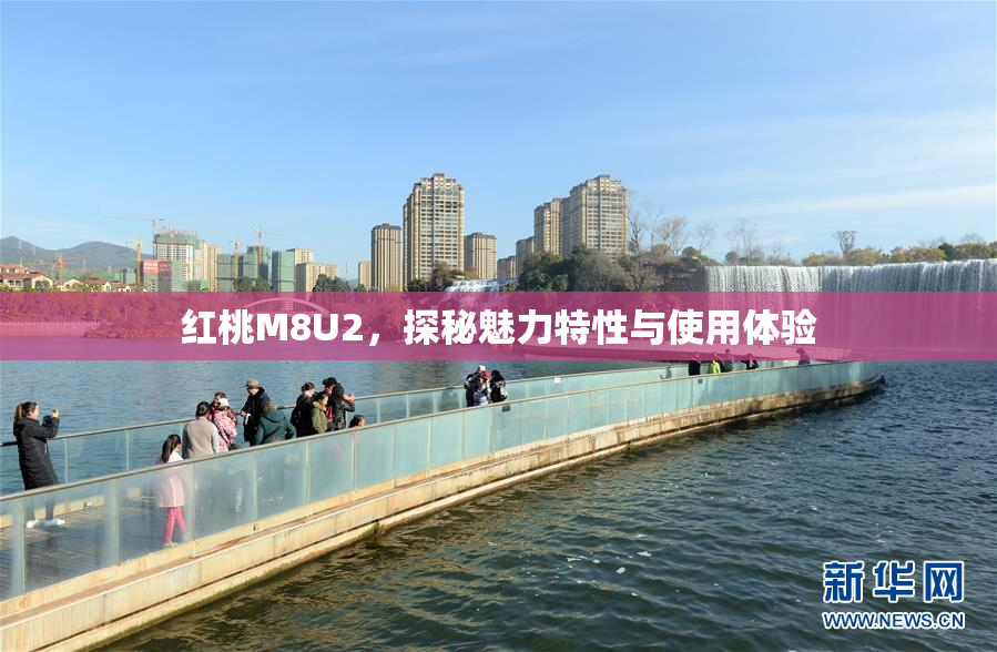红桃M8U2，探秘魅力特性与使用体验