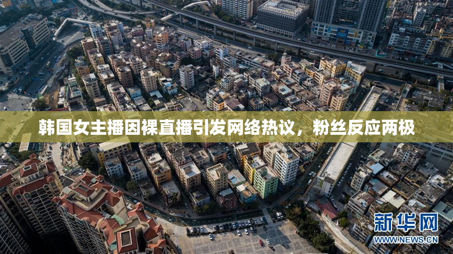韩国女主播因裸直播引发网络热议，粉丝反应两极