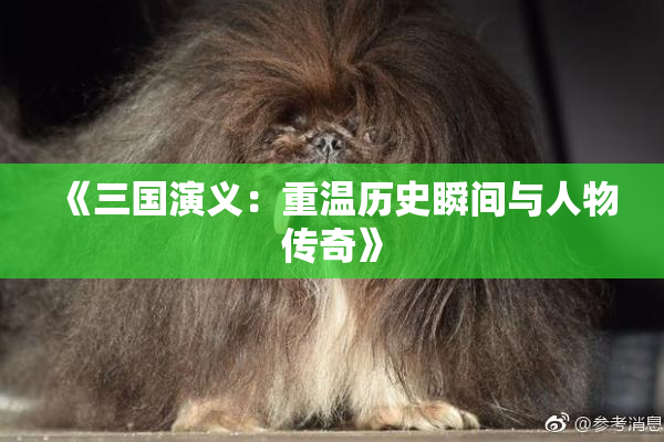 《三国演义：重温历史瞬间与人物传奇》