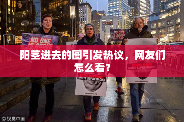 阳茎进去的图引发热议，网友们怎么看？