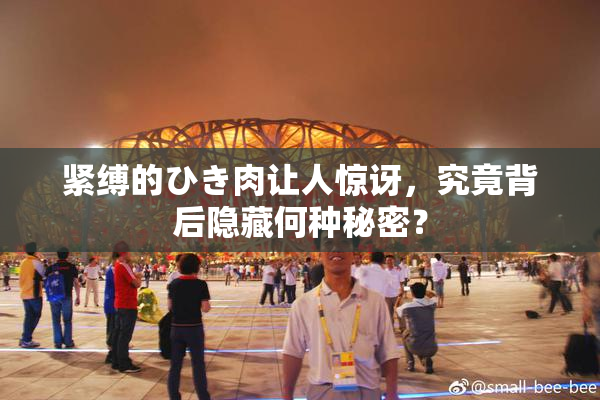 紧缚的ひき肉让人惊讶，究竟背后隐藏何种秘密？