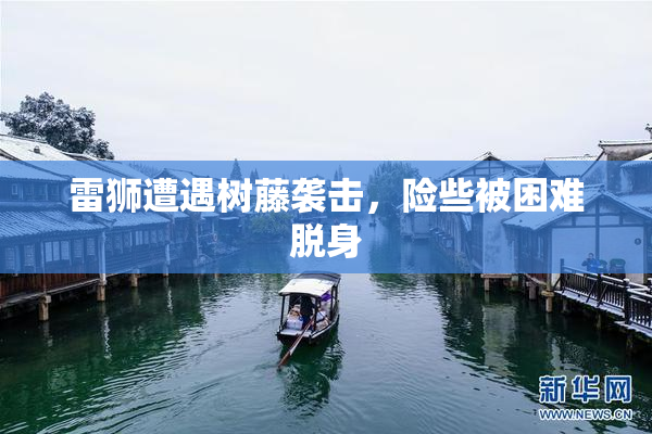 雷狮遭遇树藤袭击，险些被困难脱身