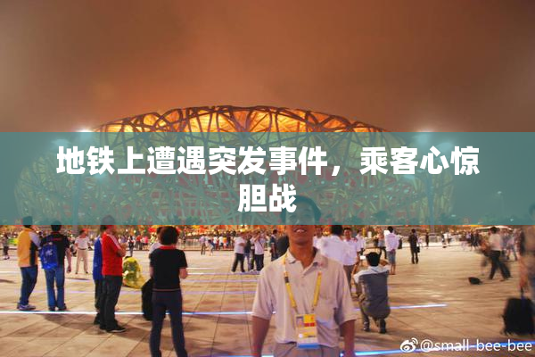 地铁上遭遇突发事件，乘客心惊胆战