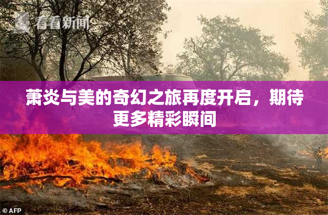 萧炎与美的奇幻之旅再度开启，期待更多精彩瞬间