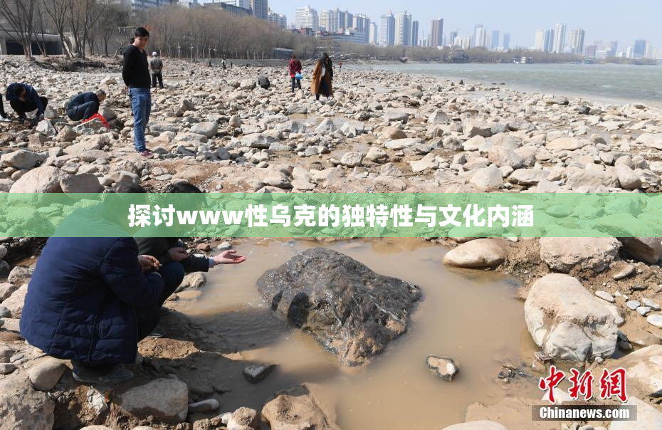 探讨www性乌克的独特性与文化内涵