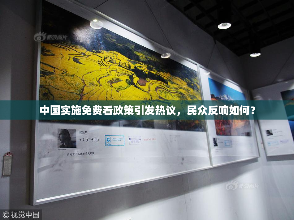 中国实施免费看政策引发热议，民众反响如何？