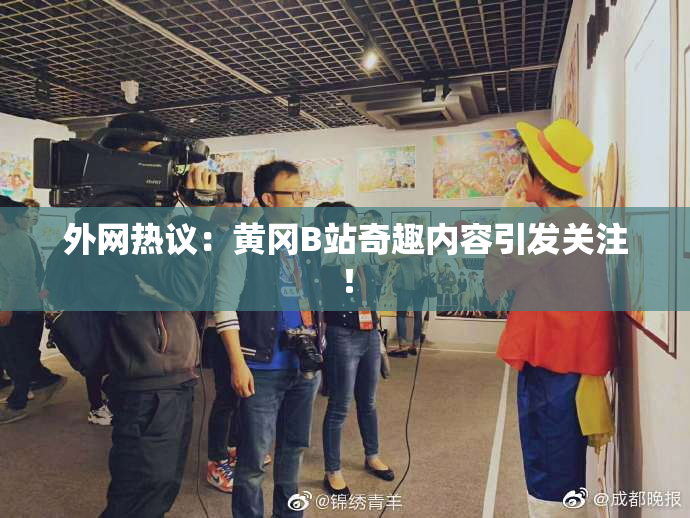 外网热议：黄冈B站奇趣内容引发关注！