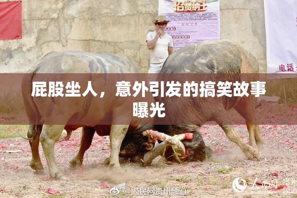 屁股坐人，意外引发的搞笑故事曝光