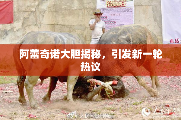 阿蕾奇诺大胆揭秘，引发新一轮热议