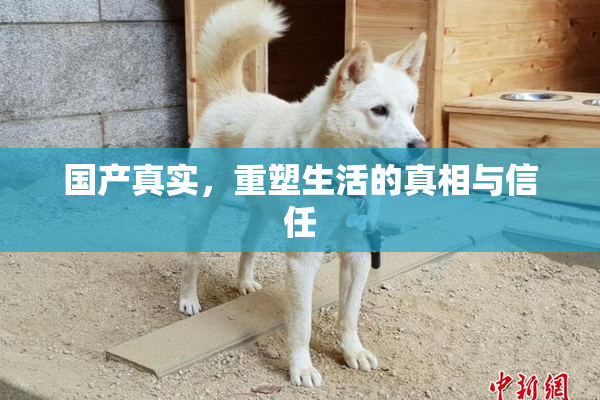 国产真实，重塑生活的真相与信任
