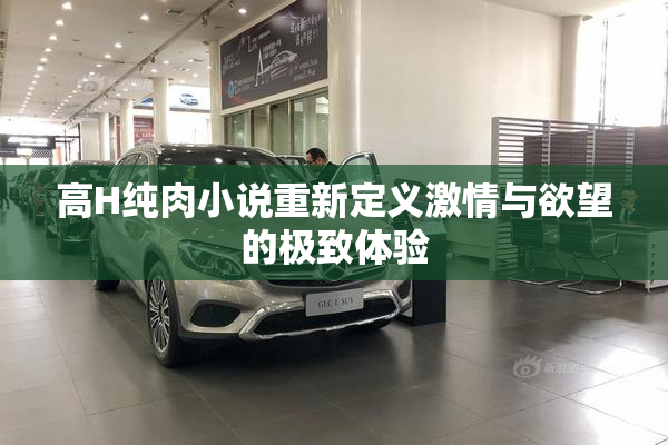 高H纯肉小说重新定义激情与欲望的极致体验