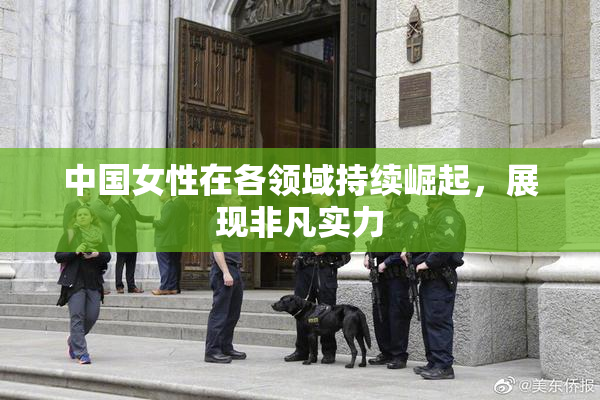 中国女性在各领域持续崛起，展现非凡实力