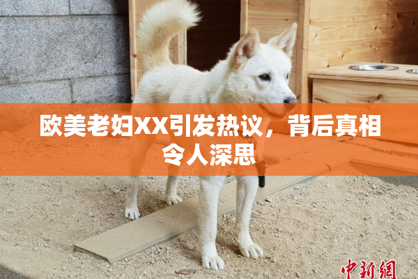 欧美老妇XX引发热议，背后真相令人深思