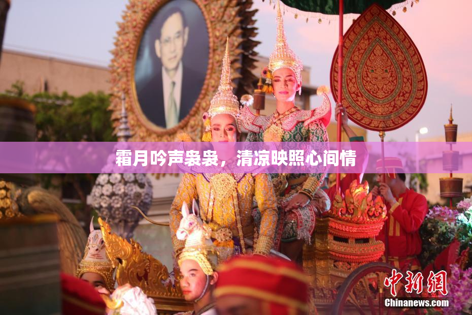 霜月吟声袅袅，清凉映照心间情