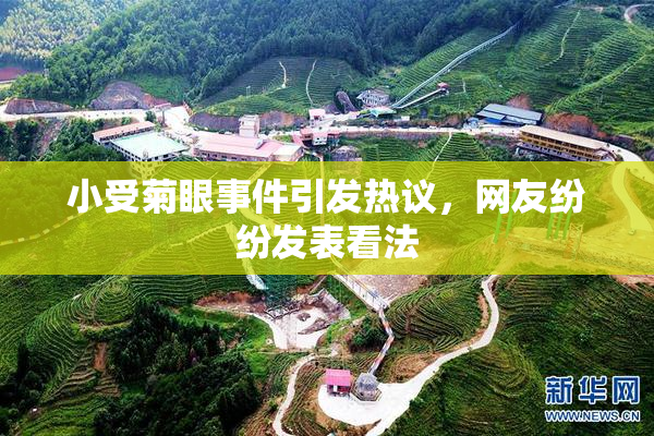 小受菊眼事件引发热议，网友纷纷发表看法