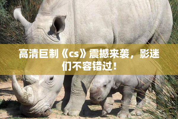 高清巨制《cs》震撼来袭，影迷们不容错过！
