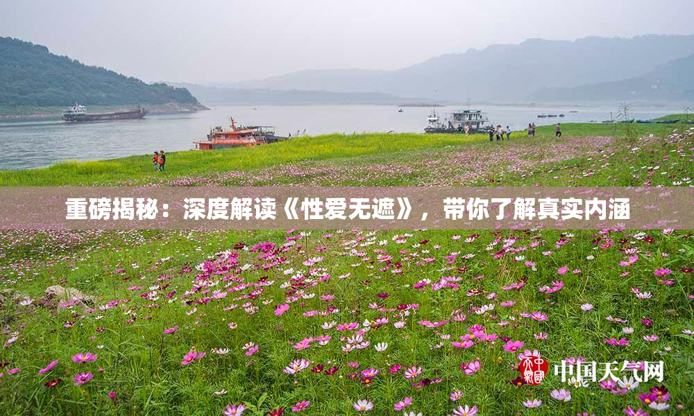 重磅揭秘：深度解读《性爱无遮》，带你了解真实内涵