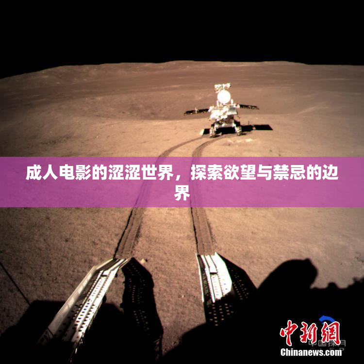 成人电影的涩涩世界，探索欲望与禁忌的边界