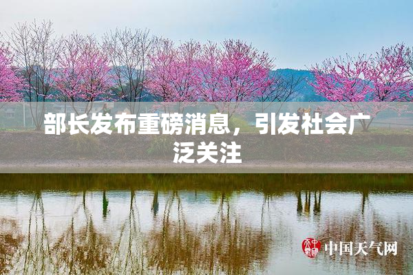 部长发布重磅消息，引发社会广泛关注