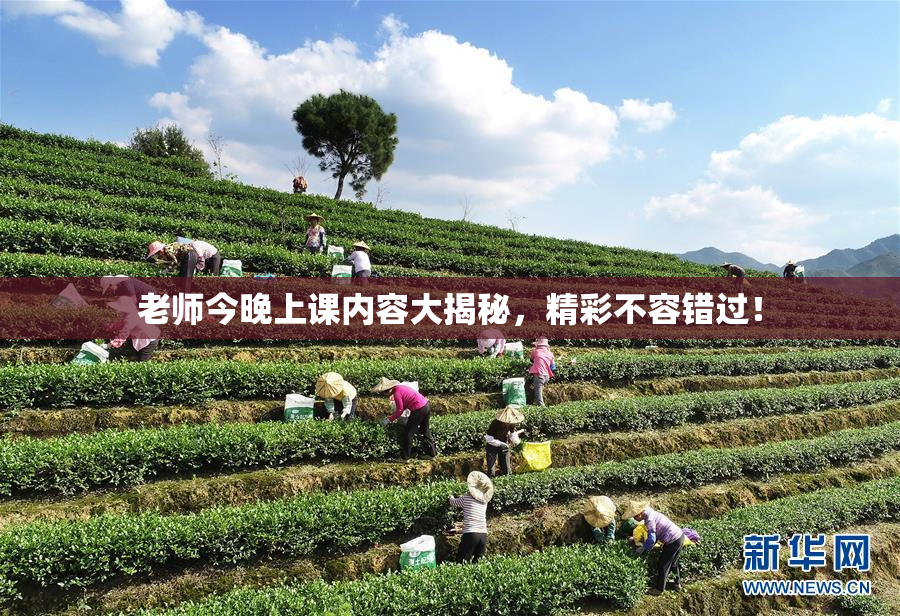 老师今晚上课内容大揭秘，精彩不容错过！