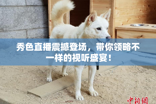 秀色直播震撼登场，带你领略不一样的视听盛宴！