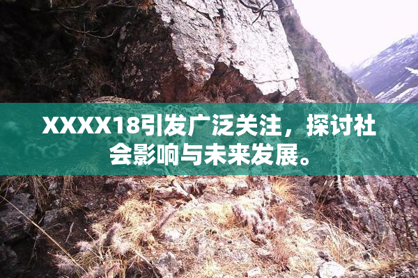 XXXX18引发广泛关注，探讨社会影响与未来发展。