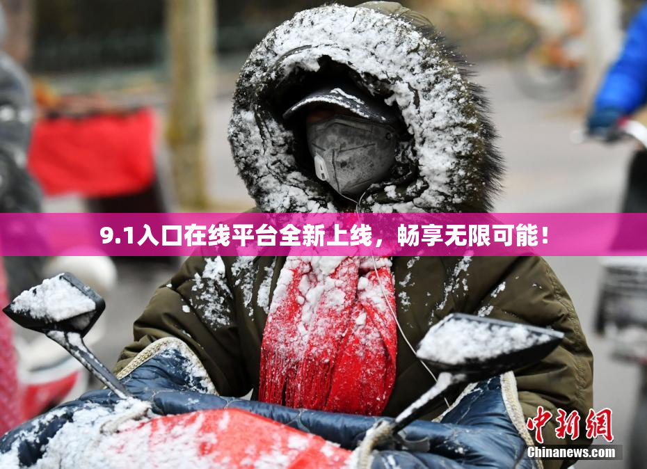 9.1入口在线平台全新上线，畅享无限可能！