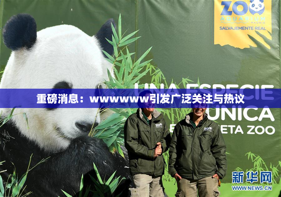重磅消息：wwwwww引发广泛关注与热议