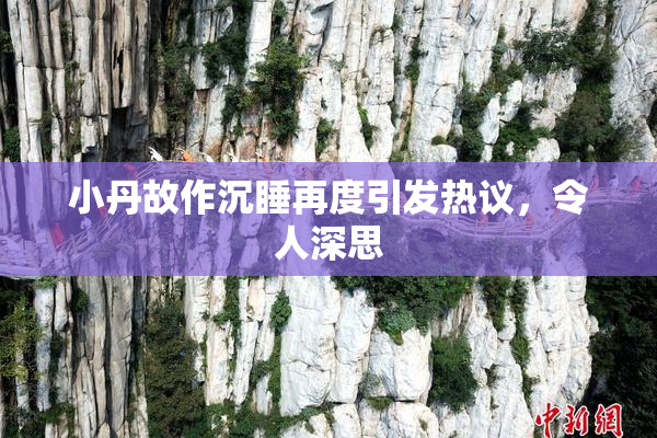 小丹故作沉睡再度引发热议，令人深思