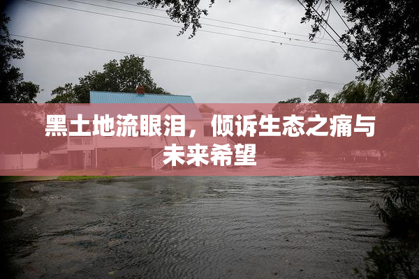 黑土地流眼泪，倾诉生态之痛与未来希望
