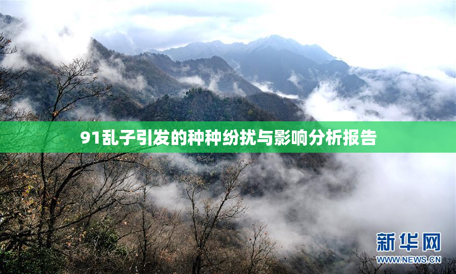 91乱子引发的种种纷扰与影响分析报告