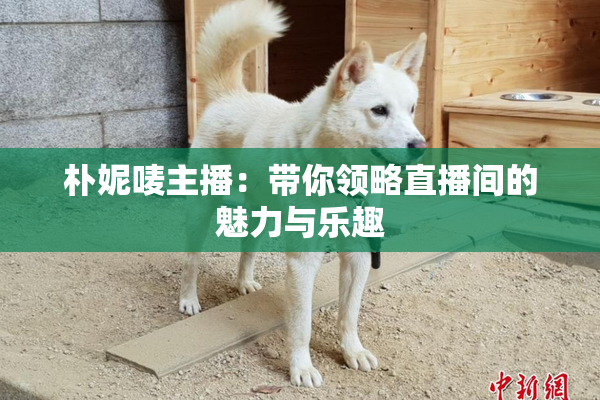 朴妮唛主播：带你领略直播间的魅力与乐趣