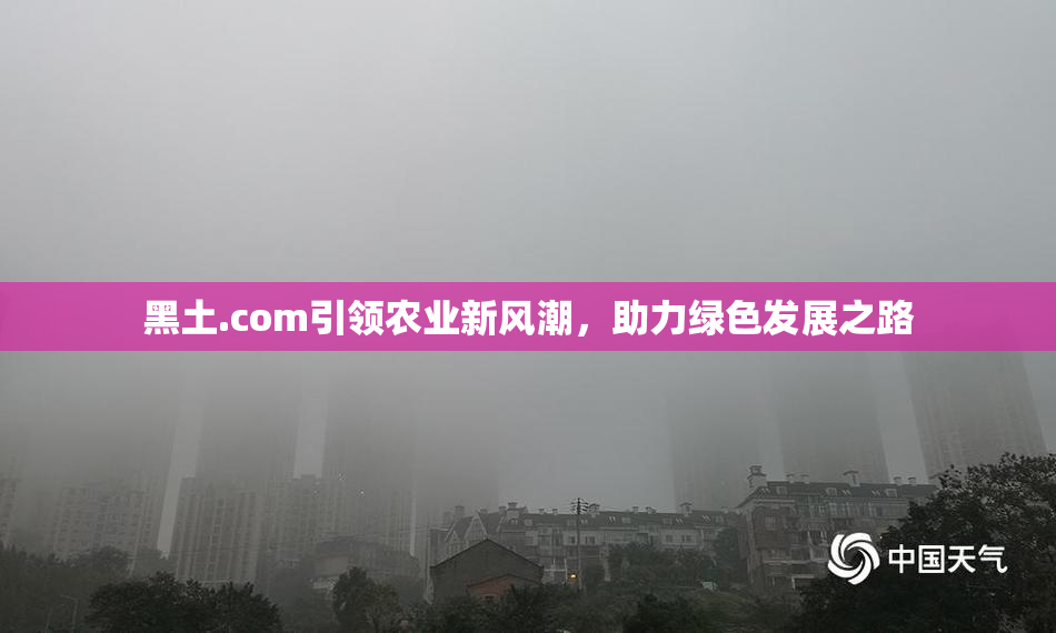 黑土.com引领农业新风潮，助力绿色发展之路