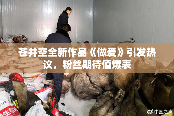 苍井空全新作品《做爰》引发热议，粉丝期待值爆表