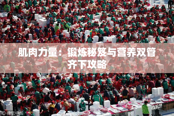 肌肉力量：锻炼秘笈与营养双管齐下攻略