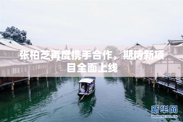 张柏芝再度携手合作，期待新项目全面上线