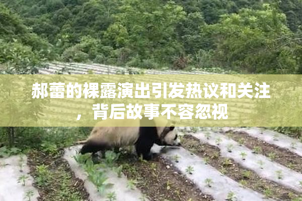 郝蕾的裸露演出引发热议和关注，背后故事不容忽视
