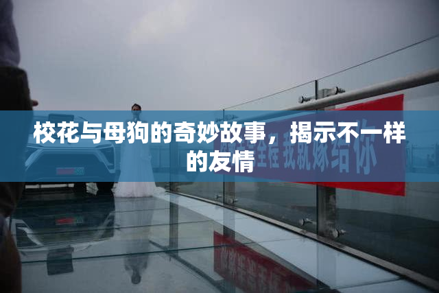 校花与母狗的奇妙故事，揭示不一样的友情