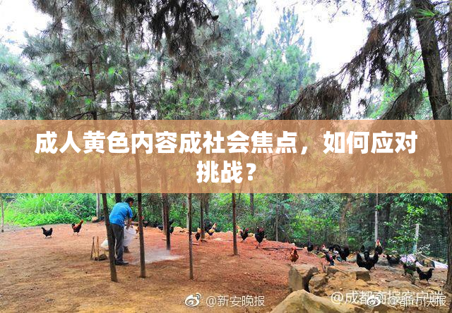 成人黄色内容成社会焦点，如何应对挑战？