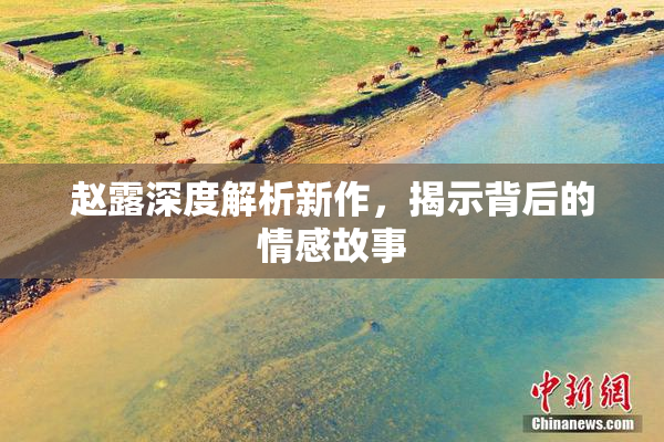 赵露深度解析新作，揭示背后的情感故事