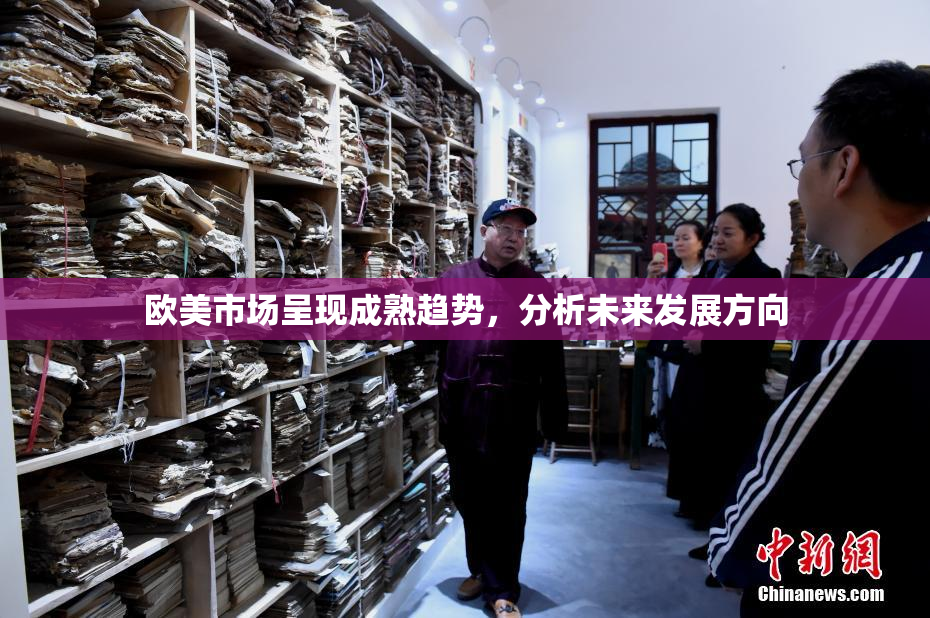欧美市场呈现成熟趋势，分析未来发展方向