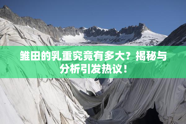 雏田的乳重究竟有多大？揭秘与分析引发热议！