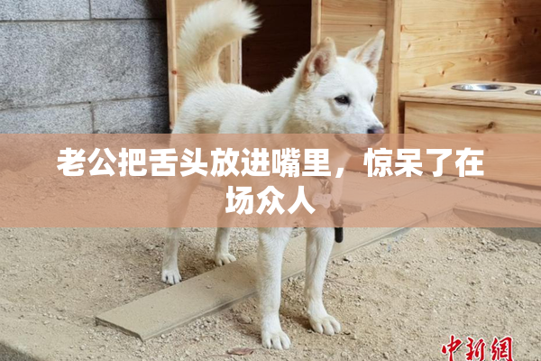 老公把舌头放进嘴里，惊呆了在场众人