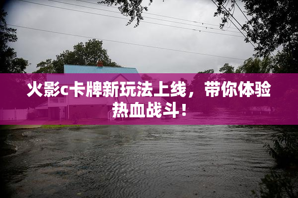 火影c卡牌新玩法上线，带你体验热血战斗！