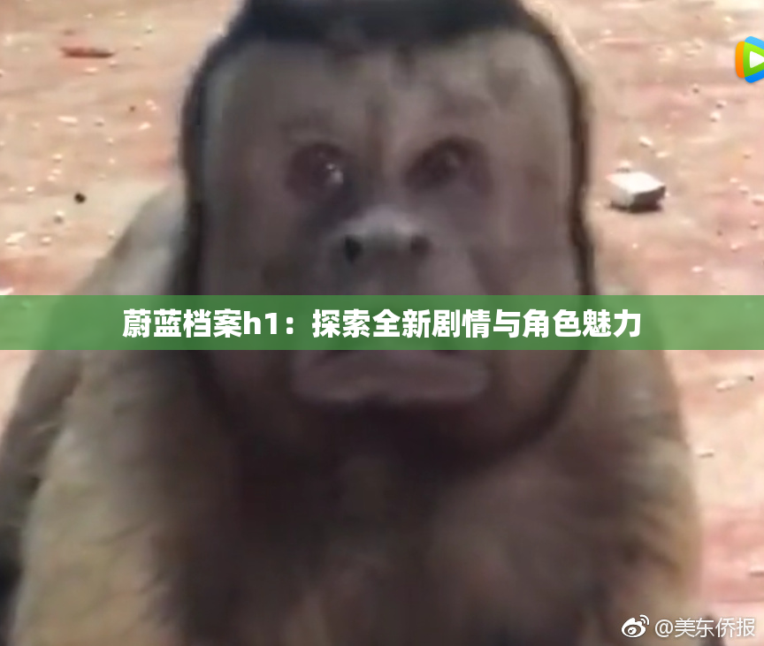 蔚蓝档案h1：探索全新剧情与角色魅力